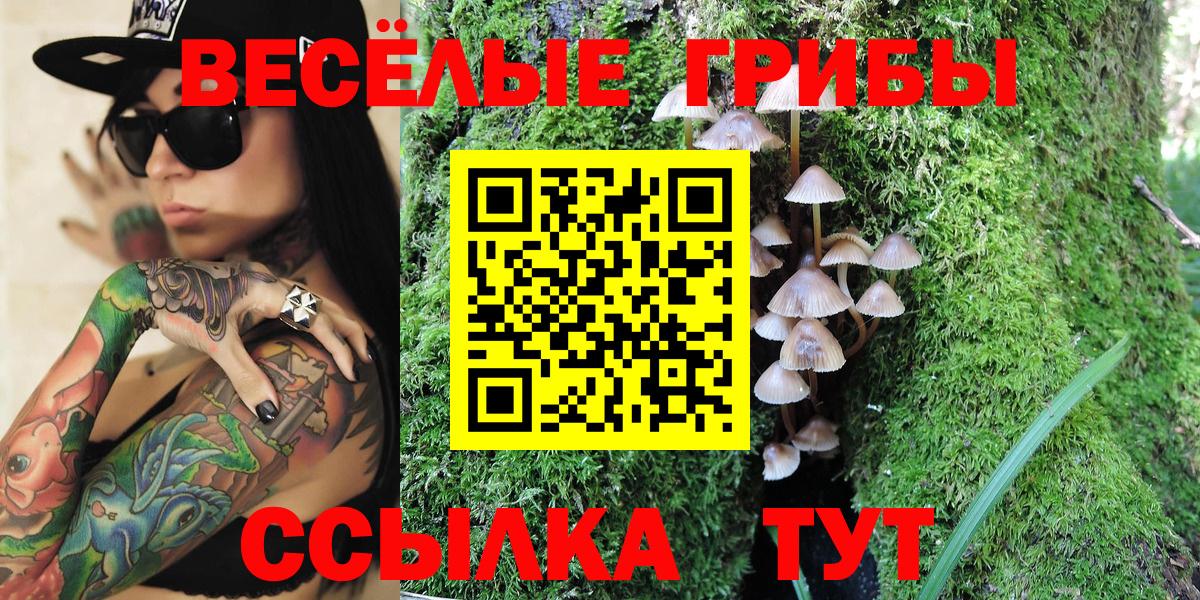 Галлюциногенные грибы GOLDEN TEACHER  Вход с VPN  купить наркотики сайты  Гуково 